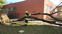 Snímek z odstraňování následků silného větru (vyvráceného stromu) v Ostravě.