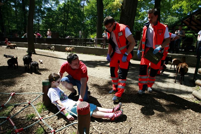 Vyzkoušet své reakce, znalosti a ověřit správné postupy přijeli do Ostravy studenti oboru Zdravotnický záchranář z České a Slovenské republiky. 