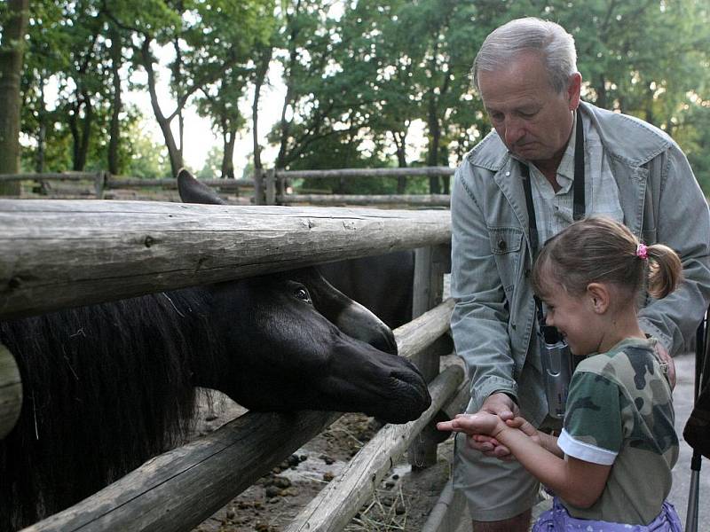 Večerní prohlídka zoologické zahrady