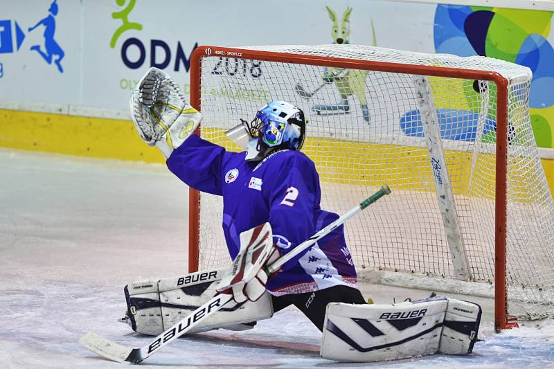 ODM Winter 2018 - hokej finále Vysočina vs. Moravskoslezský kraj