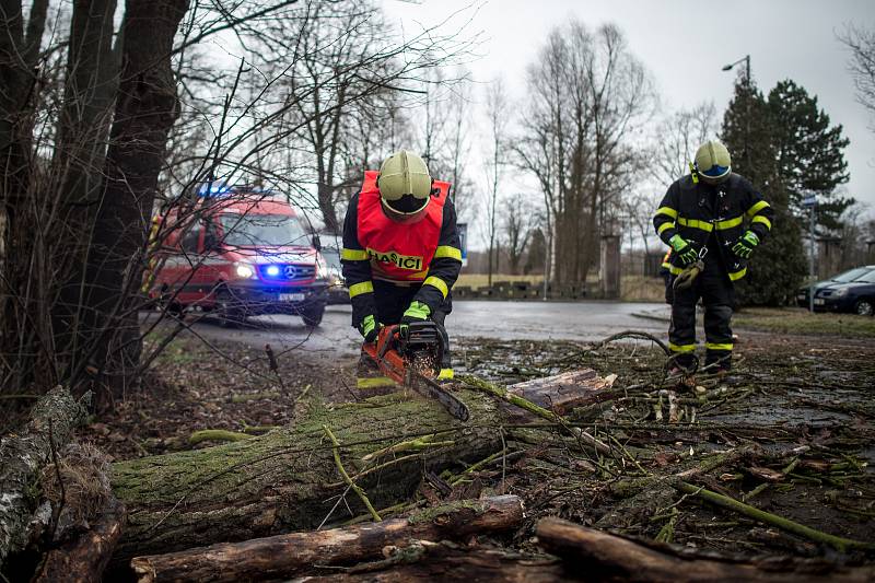 Hasiči odstraňovali spadlý strom u Slezskoostravského hradu, 10. února 2020 v Ostravě.