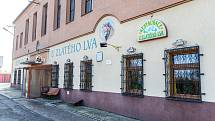 Ostravská restaurace U Zlatého Lva slaví 12. listopadu 250 let od svého otevření.