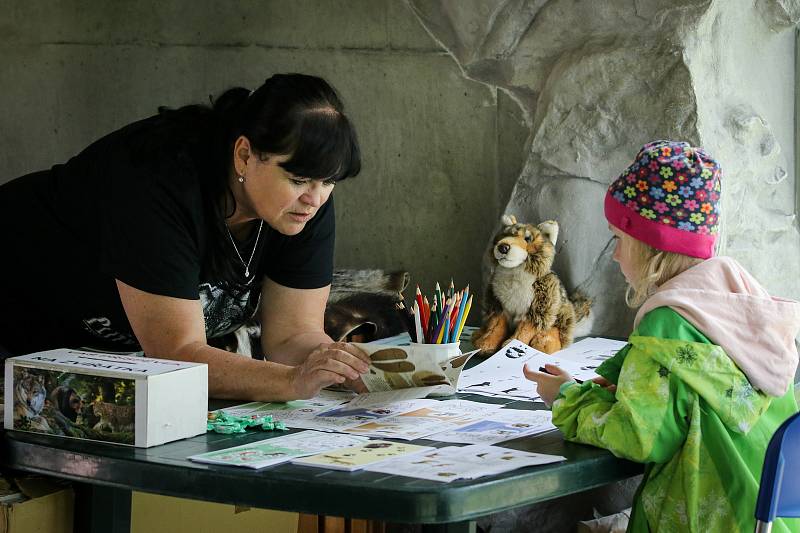 Jak se žije rysům a dalším šelmám v Beskydech. Akce pro veřejnost v ostravské zoologické zahradě, 4. května 2019 v Ostravě.