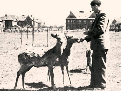 První obyvatelé zoo. Bohumil Vítek, pozdější správce zoologické zahrady v Kunčičkách, je na snímku prvními zvířaty zakládané zoologické zahrady.