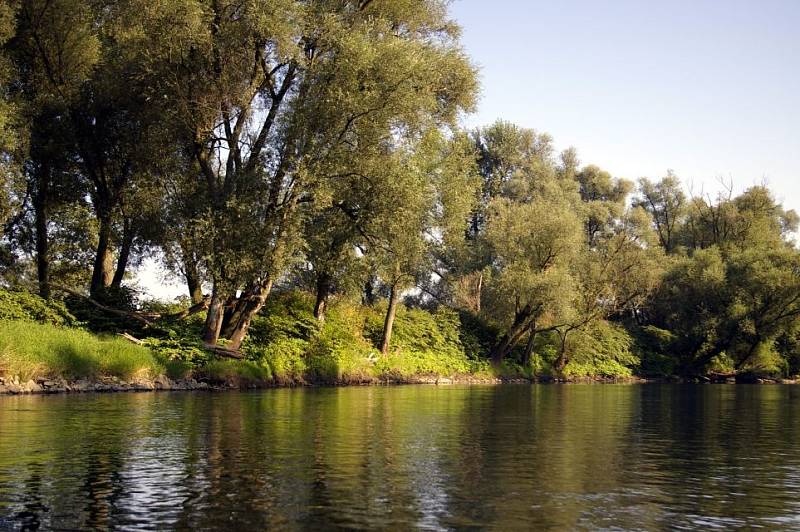 Hraniční meandry Odry pod Bohumínem (pod km 3,0) jsou dnes chráněnou přírodní rezervací, ač podstatná délka jejích obou břehů je z dřívějška opevněna vegetačními stavbami a kamenivem pro zajištění stability průběhu státní hranice mezi ČR a PR  01/28 Starý