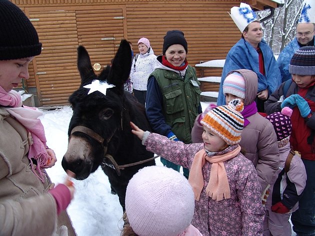 Vánoce v zoo