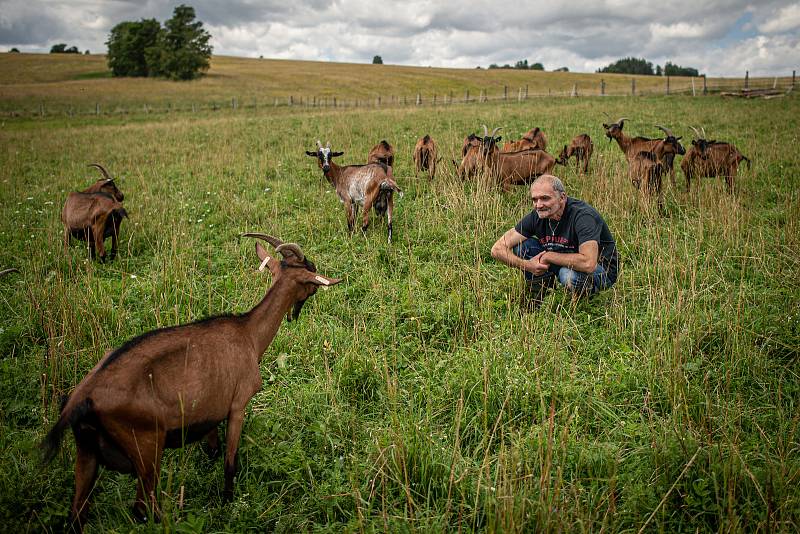 Ekologické farma U Stromovouse ve Světlé Hoře.