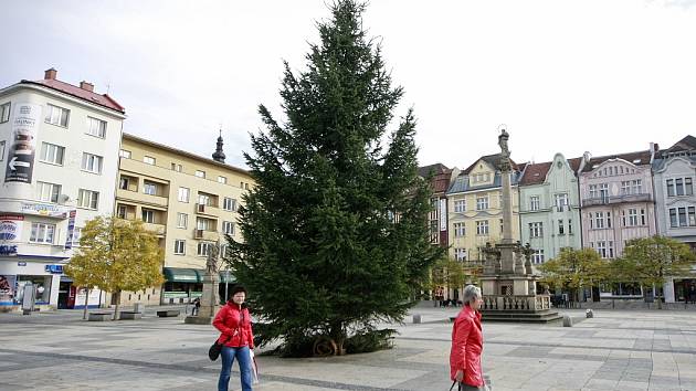 Vánoční strom na Masarykově náměstí v Ostravě.