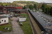 Medobraní v Heřmanické věznici, květen 2023, Ostrava