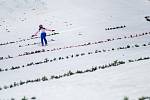 Skoky na lyžích - Světový pohár FIS ve skoku na lyžích - Wisla, Polsko, 23. listopadu 2019. Na snímku Koudelka (CZE).