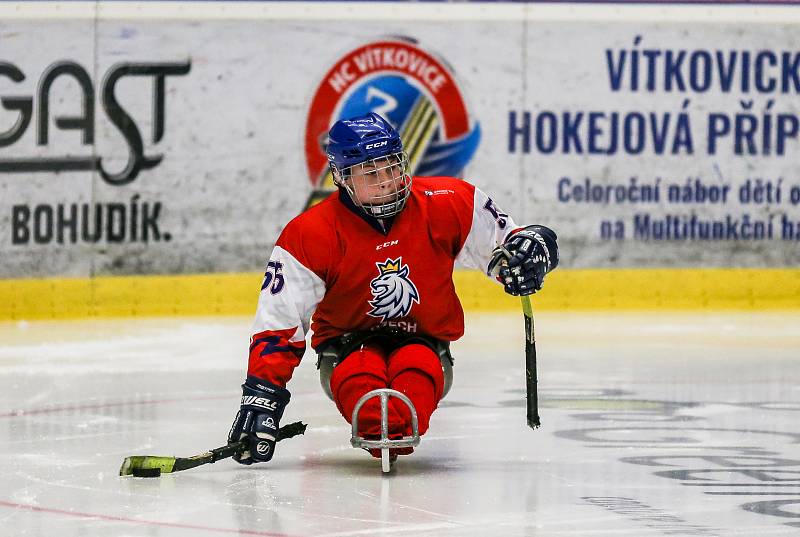 Tisková konference k Mistrovství světa v para hokeji 18. ledna 2019 v Ostravě. Na snímku para hokejista Veselý.