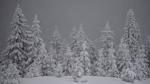 Sněhová nadílka na Pradědu, 30. ledna 2021.
