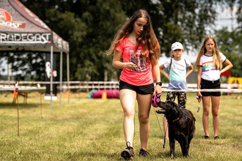 Voříškiáda ,,Petřvaldský čumáček 2020". 27.6.2020 v Petřvaldě.