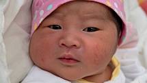 Nguyen Gia Han z Karviné, narozena 11. června 2021 v Karviné. Foto: Marek Běhan