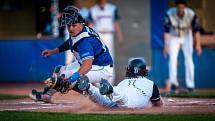 Série závěrečného 7. kola základní části extraligy baseballistů Arrows Ostrava - Sokol Hluboká 3:1, 12:2 a 3:7. Foto: Arrows Ostrava/Ladislav Svěnčík