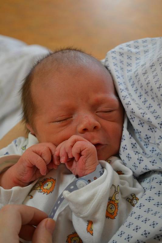 ONDŘEJ MOHYLA 21. 11. 2016, 3800 g, 51 cm, Havířov