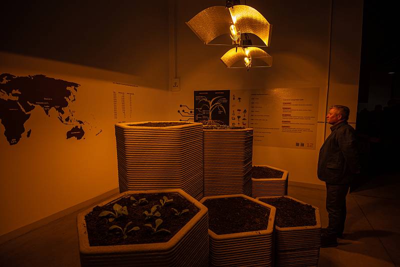 Zemědělské muzeum v Ostravě má od dubna 2022 novou expozici. Na snímku šestihranné květináče vyrobeny pomocí 3D tisku z rychlotuhnoucí tixotropní cementové směsi.