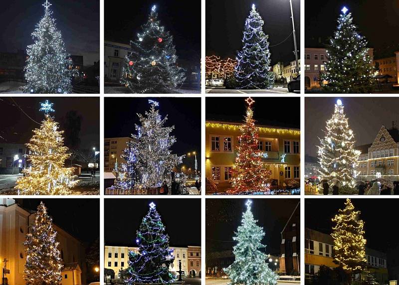 Vánoční stromy z Moravskoslezského kraje, prosinec 2021.