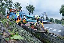 Mezi následky přívalových bouří patřilo i odstraňování stromů v ulicích Ostravy.