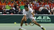 Jean-Julien Rojer v akci.