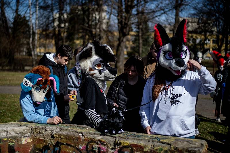 Ostrameeting, setkání fanoušků anime a popkultury,  18.března 2023, Ostrava.