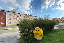 Ztracené kuře se našlo za budovou úřadu Ostrava-Jih.