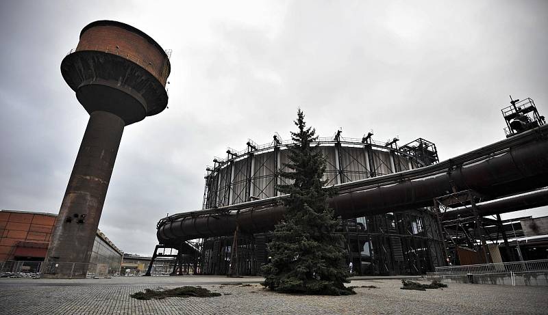 Vánoční strom se již tyčí před multifunkční aulou Gong. Měří necelých čtrnáct metrů a váží přes jednu tunu.