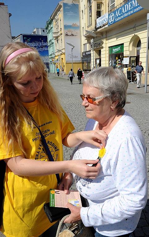 Lidé v Ostravě také přispívali na boj proti rakovině koupí květinky.