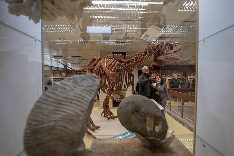 V Geologickém pavilonu v areálu VŠB-TUO (Vysoké školy báňské - Technické univerzity Ostrava) odhalili 2,5 metru vysoký a pět metrů dlouhý model kostry tyranosaura rexe, 18. ledna 2022.