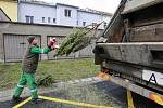 Vánoční stromky od popelnic se v Ostravě sváží po celý leden.