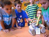 Děti ze základní školy Hoštejn vyrobily do soutěže o maskota elektrárny Dlouhé Stráně šnorchláče hlubinného, který získal první místo a dětem přinesl pětadvacet tisíc korun na školní výlet.