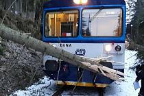 Vlak narazil do spadeného stromu u Chrastic na Staroměstsku.
