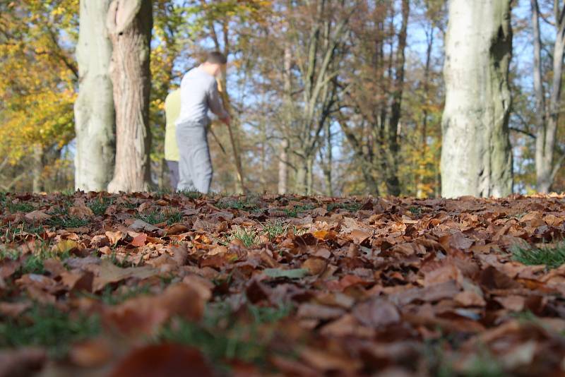 Vězni z Mírova pomáhají při podzimním úklidu parku na sousedním hradě Bouzov.