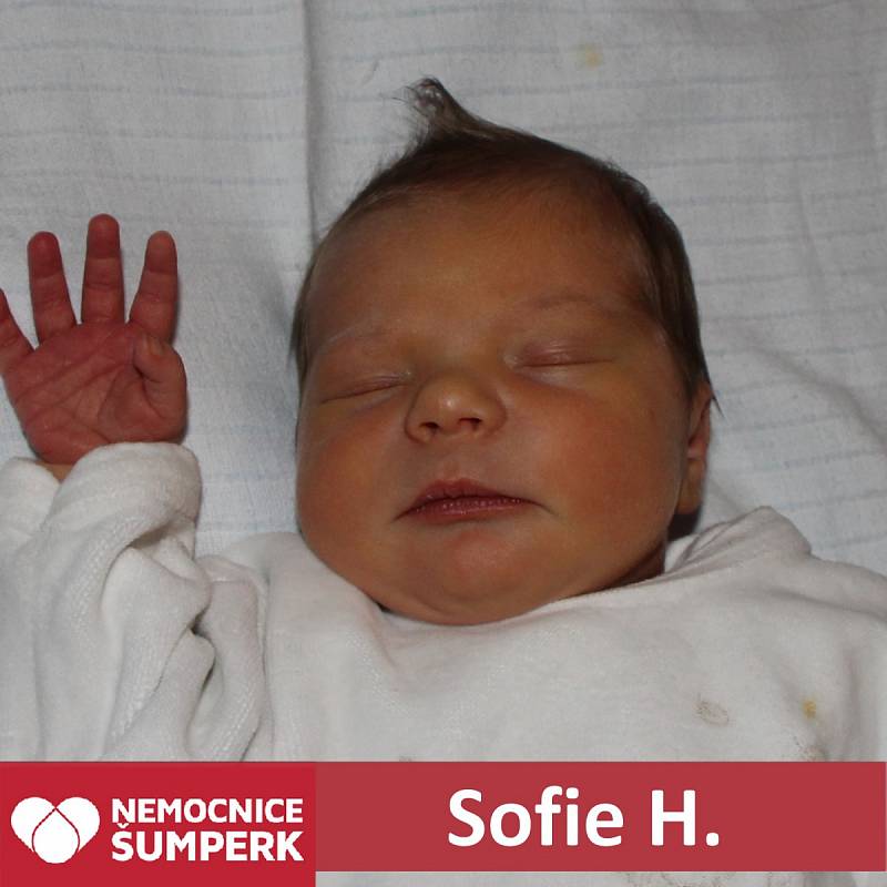 Sofie H., Veleboř