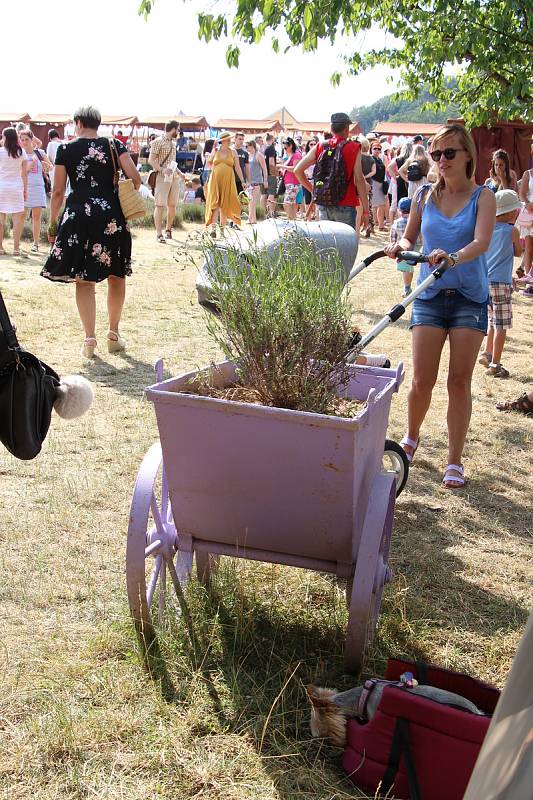 Levandulový festival v Bezděkově.