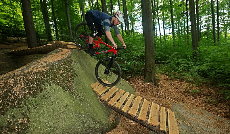 Jestřáb, nově budovaný trail Rychlebských stezek. 22. 5. 2020