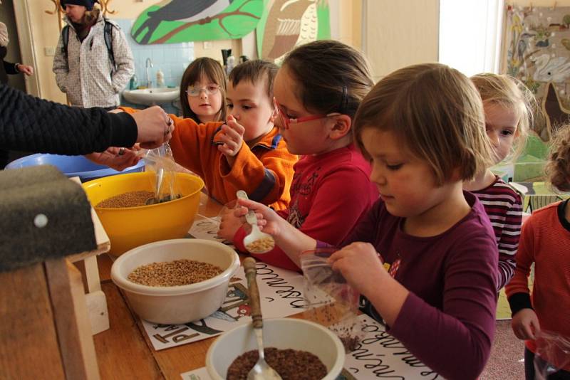 Ptačí dílna ve Středisku volného času Doris v Šumperku