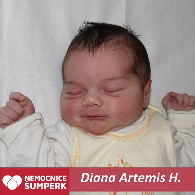 Diana Artemis H., Loštice