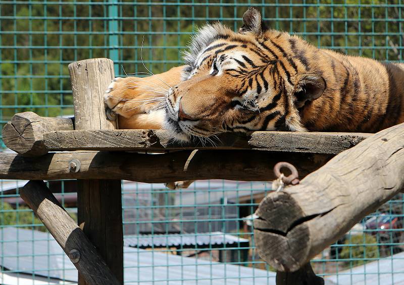 Fauna park Lipová lázně. 21. května 2020