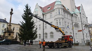 Instalace vánočního stromu u radnice v Šumperku. 21. 11. 2023