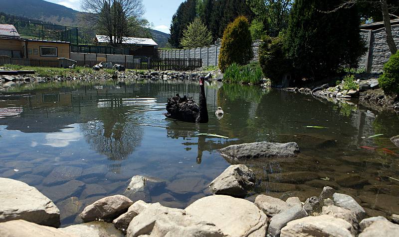 Fauna park Lipová lázně. 21. května 2020