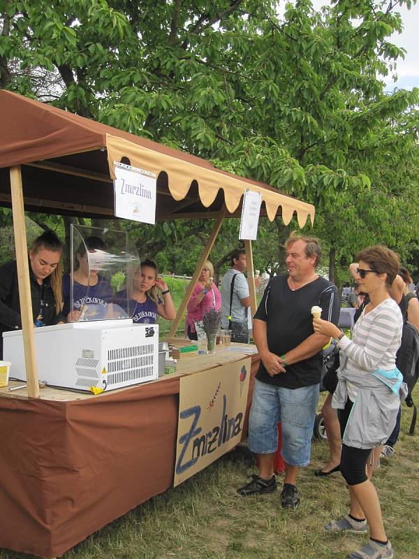 Levandulí vonící festival obsadil pole nad Bezděkovem již potřetí a opět se na něm vystřídaly tisíce lidí.