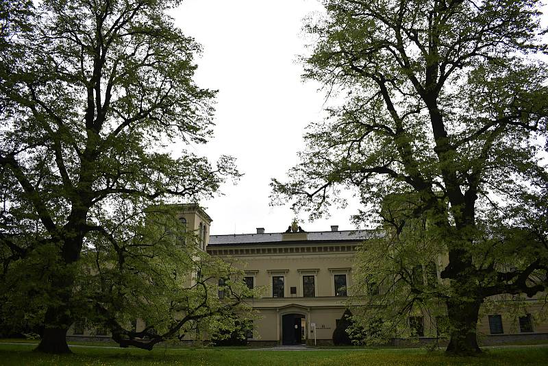 Nejen romantický park, ale interiéry zámku v Čechách pod Kosířem jsou k dispozici veřejnosti.