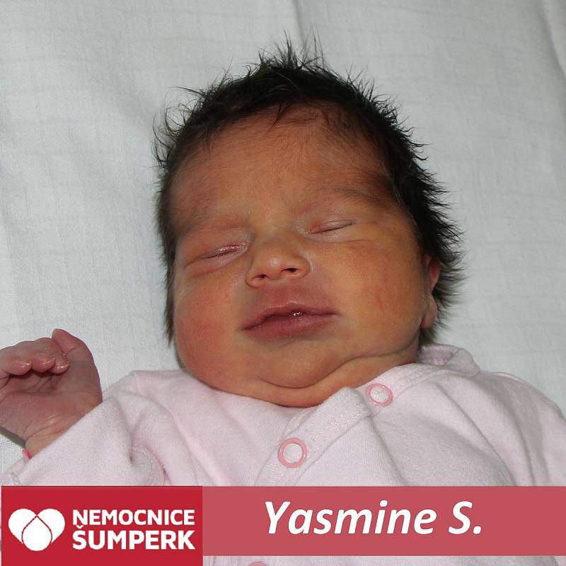 Yasmine S.Mohelnice