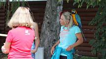 Setkání majitelů volně létajících papoušků na přehradě Krásné u Šumperku.