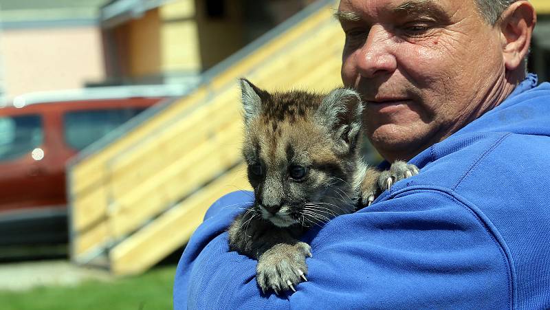 Fauna park Lipová lázně. 21. května 2020