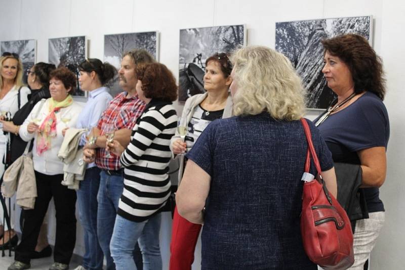  Otevření venkovní galerie v Bludově a Sousedské zakončení léta.
