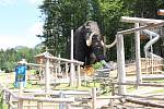 Dolní Moravě vévodí největší mamutí atrakce na světě.