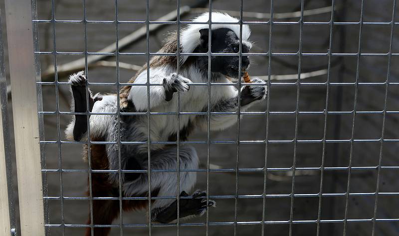 Fauna park Lipová lázně. 21. května 2020