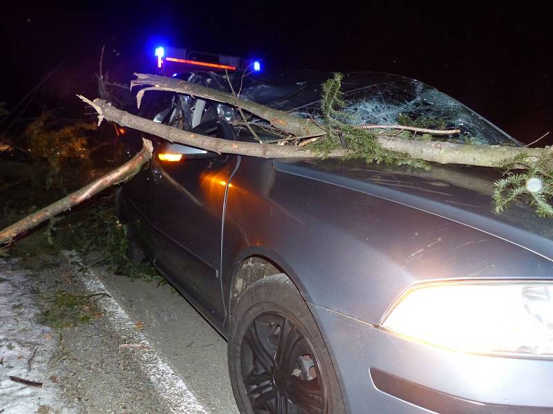 Nehoda kvůli spadlému stromu u Zlatých Hor